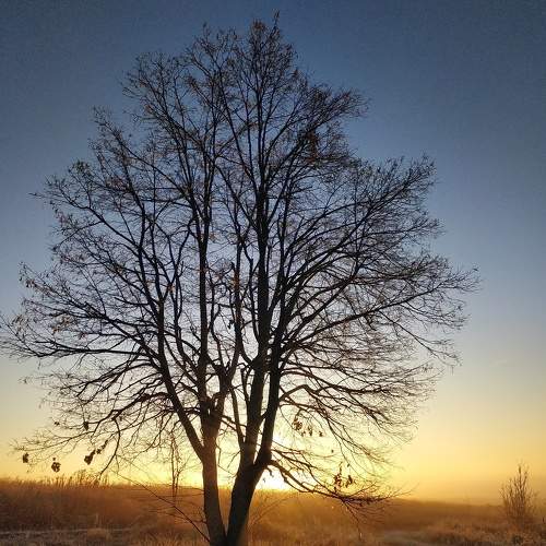 Photo #6920121