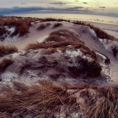 Photo #6920330