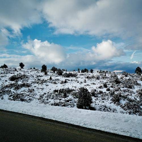 Photo #6920351