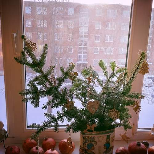 Photo #6920388