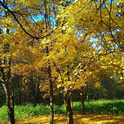 Photo #6920624