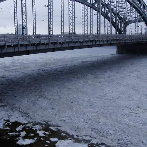 Photo #6920800