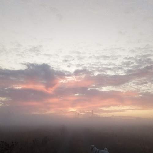 Photo #6920944