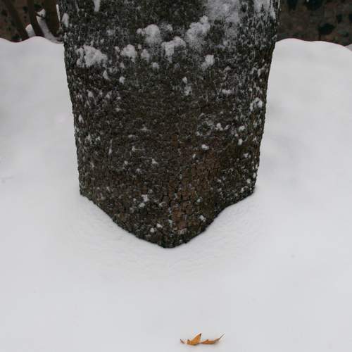 Photo #6920984