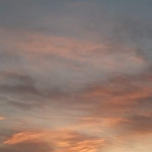 Photo #6920989