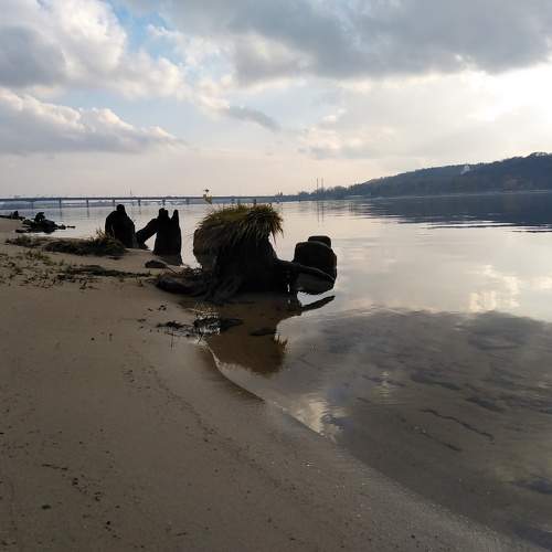 Photo #6921412