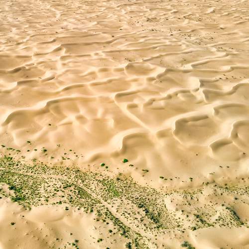 Photo #6921528