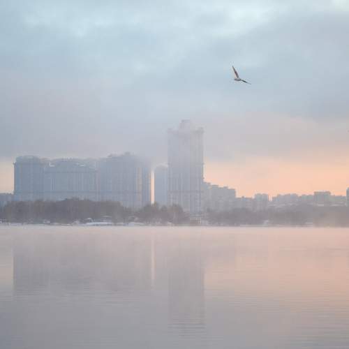 Photo #6921634