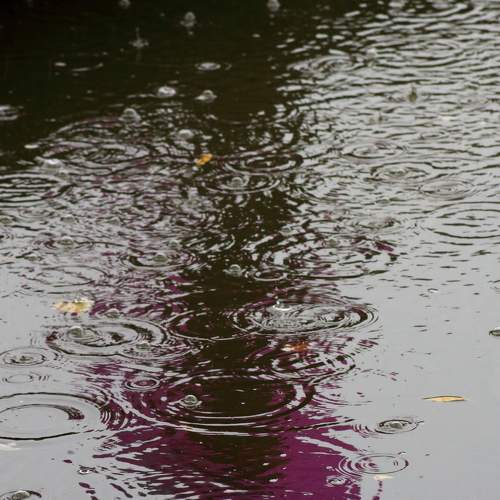 Photo #6921656