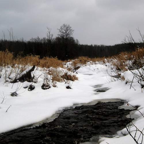Photo #6921665
