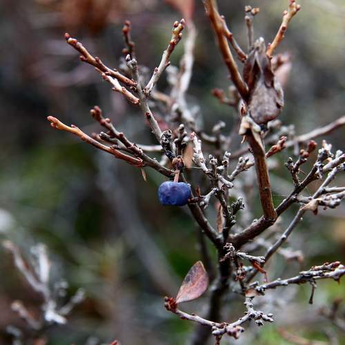 Photo #6921670