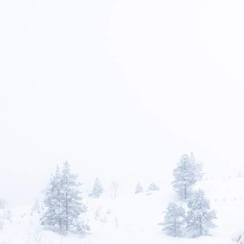 white out