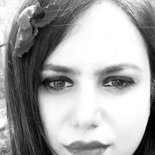 Photo #6921918