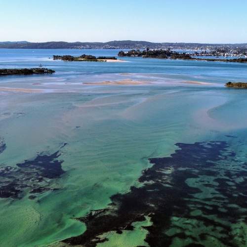 Photo #6922217