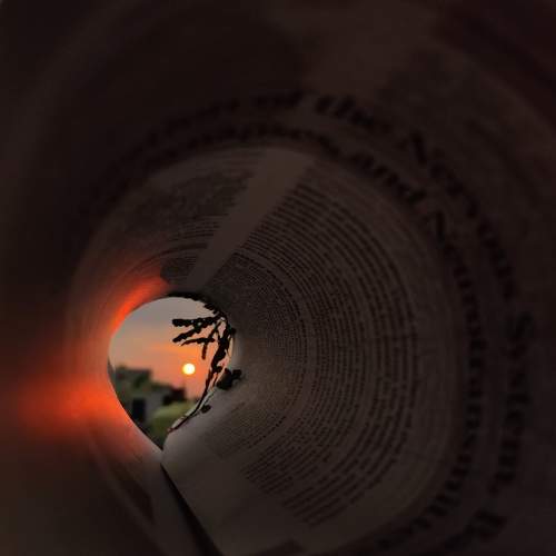 Photo #6922223