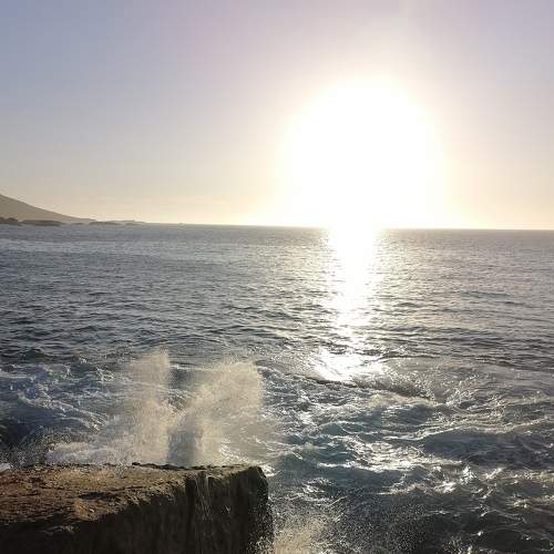 Photo #6922383