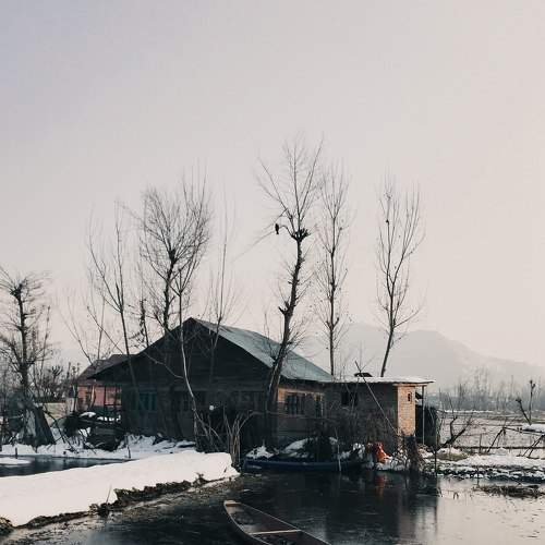 Photo #6922672