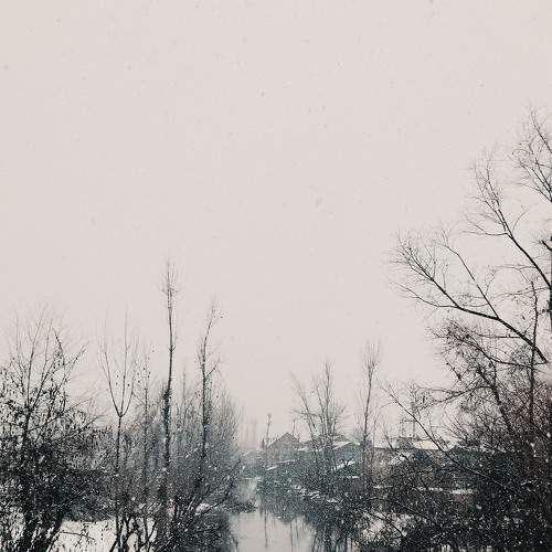 Photo #6922675