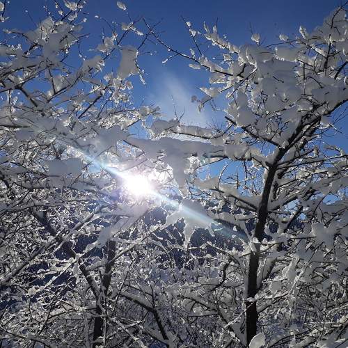 Photo #6923438