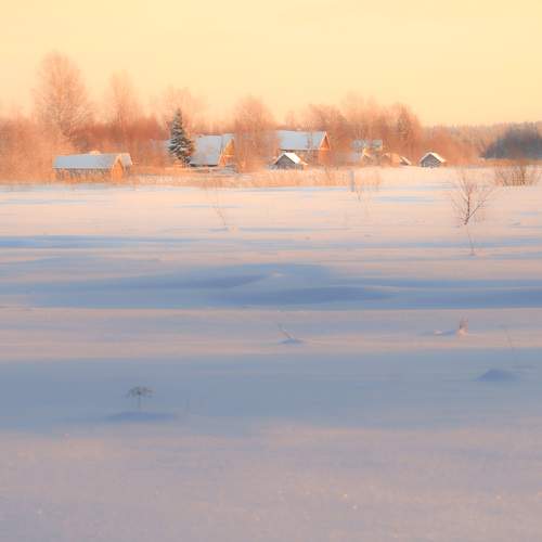 Photo #6923522