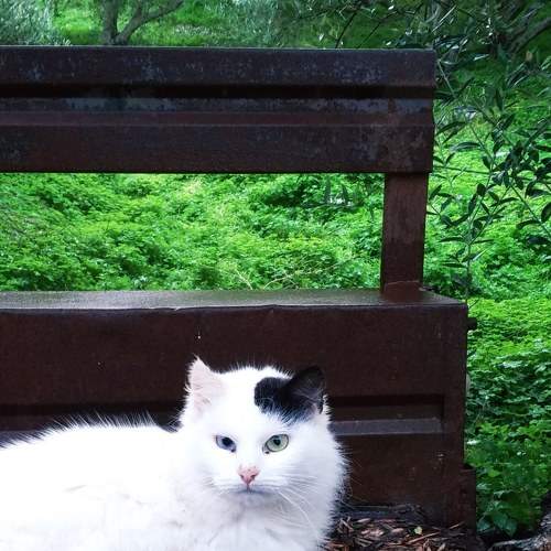 Photo #6923809