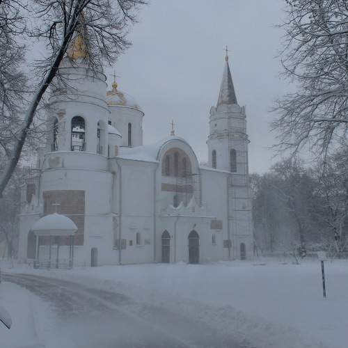 Заснежило...