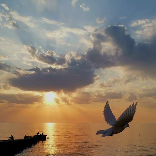 Photo #6923877