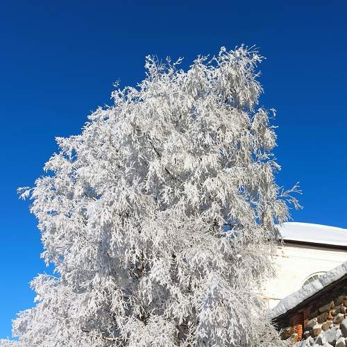 Photo #6923951