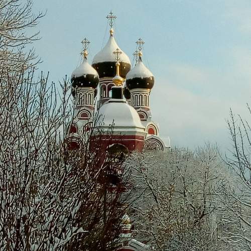 Photo #6924099