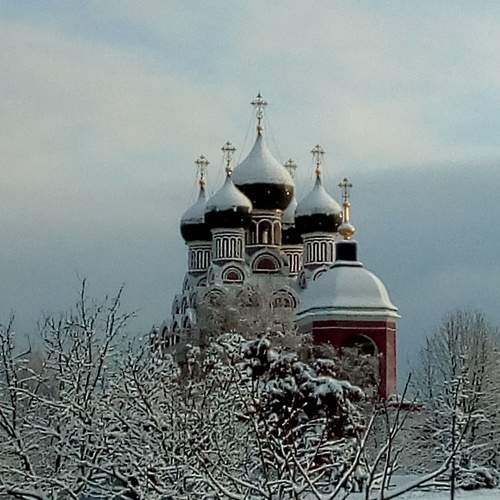 Photo #6924103