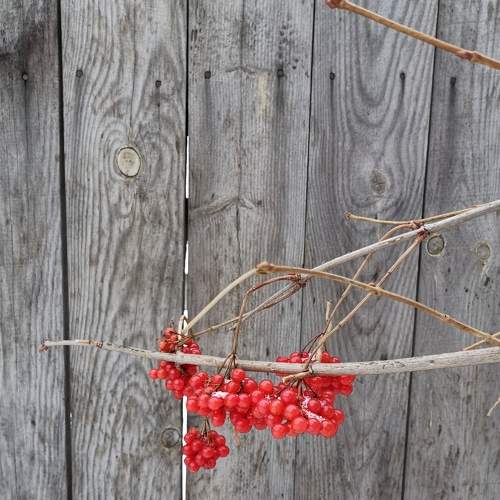Photo #6924201