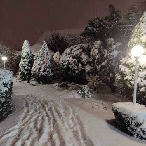 Photo #6924464