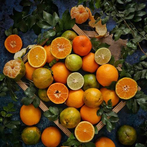 Photo #6924478