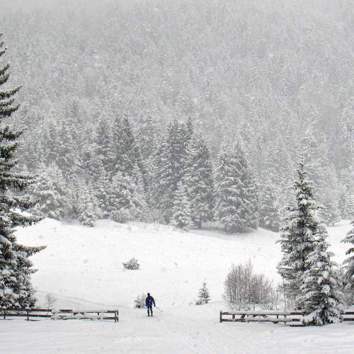 Photo #6924550
