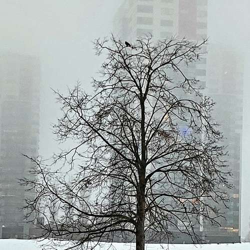 Photo #6924618