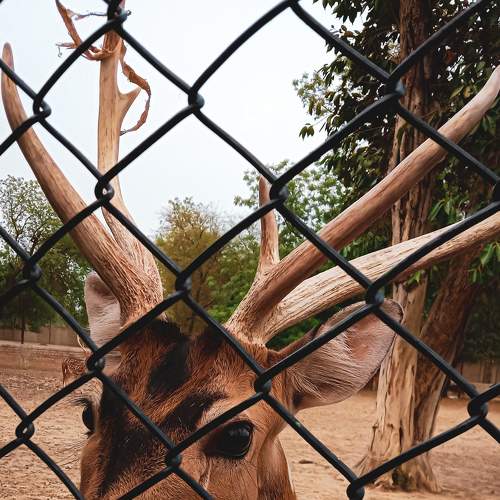 Photo #6924695