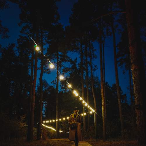 Photo #6925129