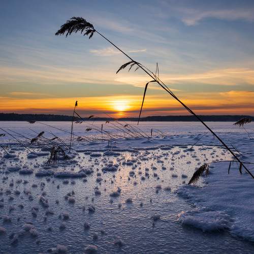 Photo #6925178