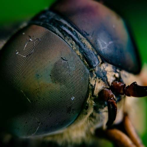 Photo #6925312