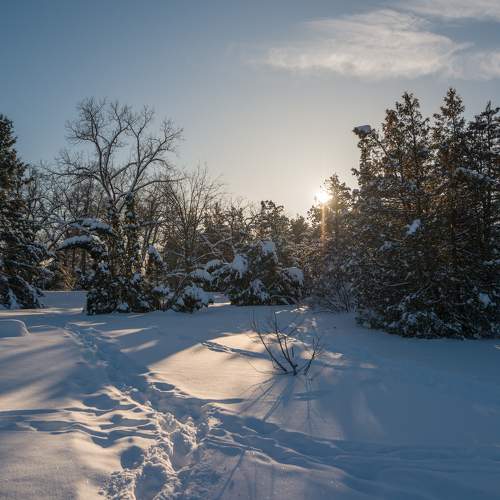 Dow\'s lake under the snow. Ottawa, Ontario, Canada
