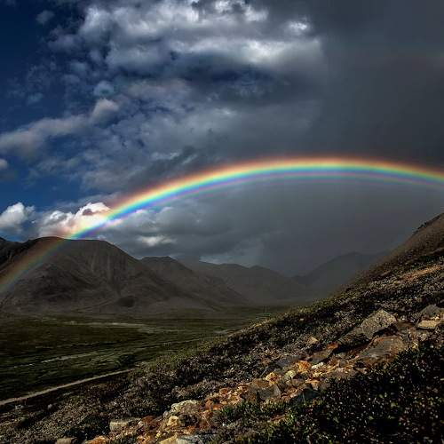 Photo #6925532