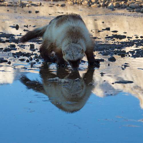 Photo #6925549