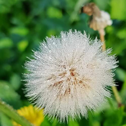 Photo #6925844