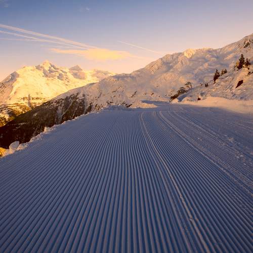 Photo #6925905