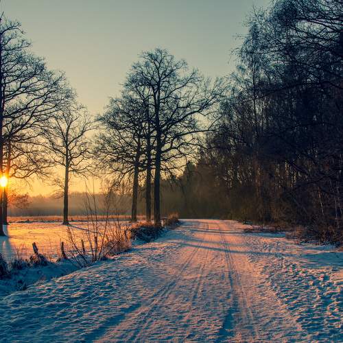 Photo #6925906