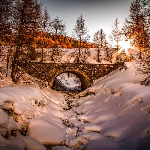 Photo #6925907