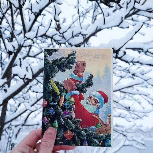 Photo #6926256