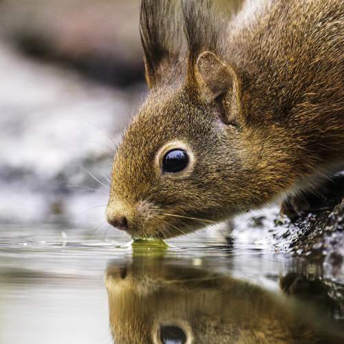 Photo #6927072