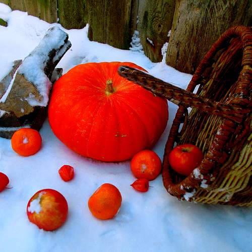 Photo #6927220