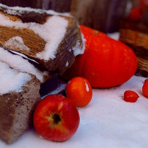Photo #6927227